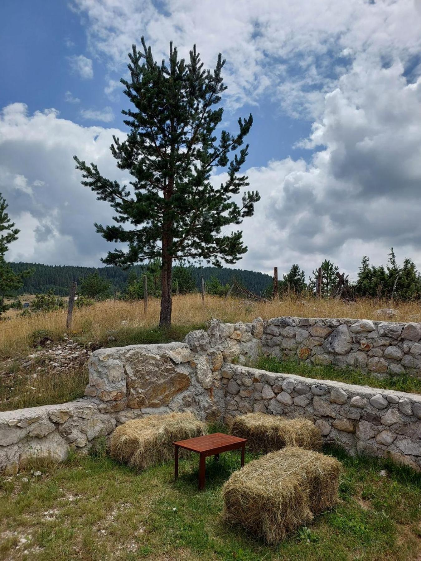 Mountain Peace Cottage Žabljak Buitenkant foto